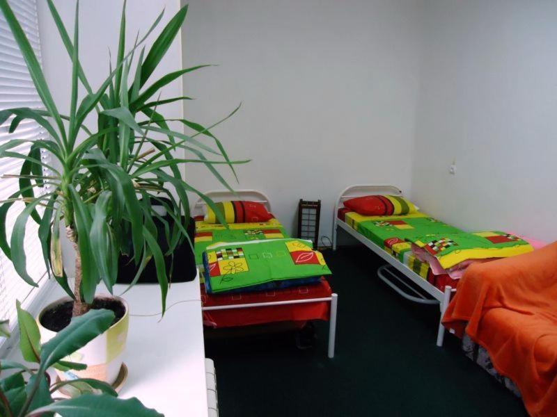 Hostel Kreshatik Kiev Kamer foto